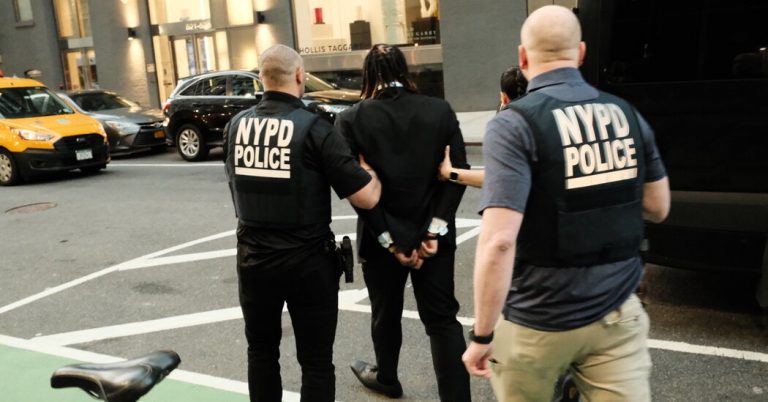 Artist Known for Scaling Buildings Was Arrested at His Show’s Opening